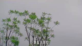 薯片妈妈记录生活的直播间