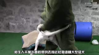 王生怪谈奇闻怪事