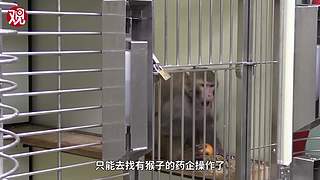 科工力量的直播间