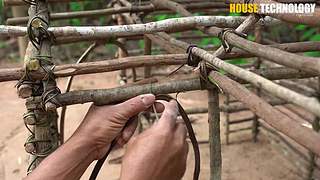荒野动物建筑师的直播间