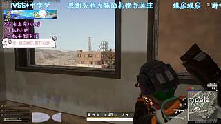 小喵VSS 十字弩 疯狂帝斯顿