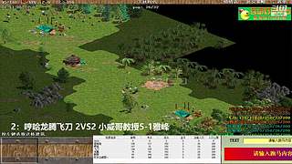 不会打罗马的姐姐的直播间
