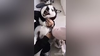 星球大战前线2玩玩看。