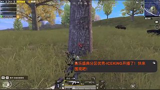 探索一下新生活