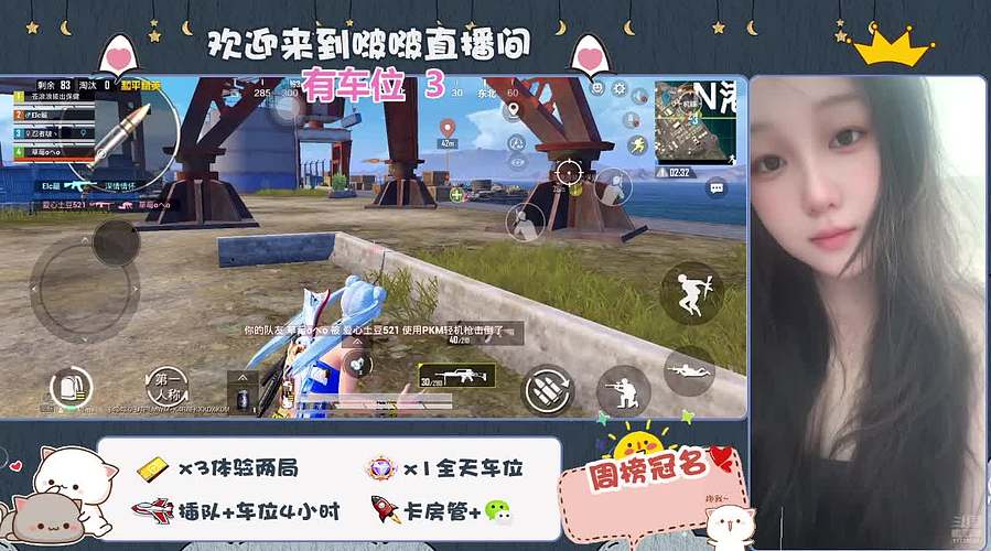 新人第一天 11728584