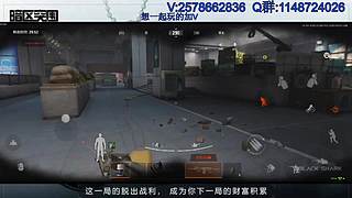 柯恩币专家