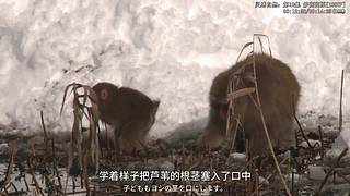 谦卑，学习，升华