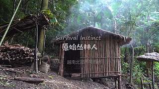 东南亚丛林生活实录
