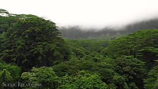 观景，听风