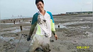 感谢钓友关注，每天分享鱼乐