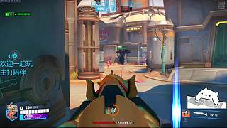 里面有猫会后空翻，进来看