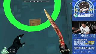 中国区CFS白鲨加油！