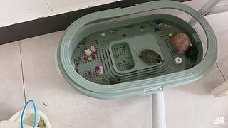 爱做饭的小女孩