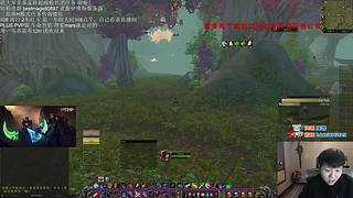 炉石传说天梯竞技场直播