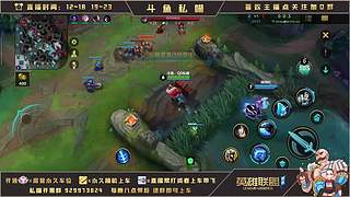 王者辅助  有问必答