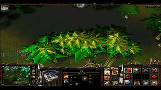 真三3.9F 比39D平衡好玩！