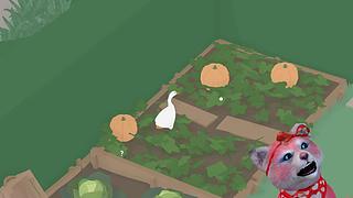 仿佛一朵小花，头上戴着法夹