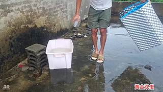 流浪生活.海南隐居十年