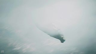 顶级ad，全能ad！威风的龙！