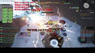 噩梦碗中启动！金猫