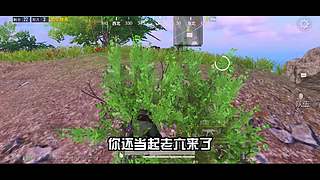 南柯又白给了的直播间