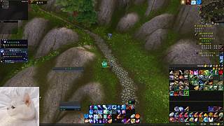 RicardoJack的直播间