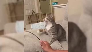 唉呀妈呀！笑抽抽了！