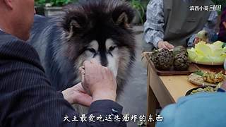 滇西小哥的美食视频