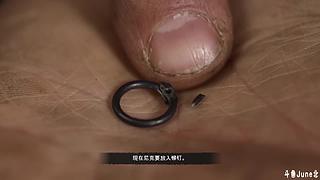 帝国时代4战役剧情