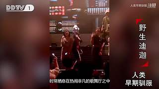 魏蜀吴群雄争霸，发弹幕加入国战