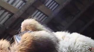 来来嗨嗨嗨
来来来