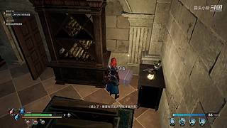 蒜头小新的直播间