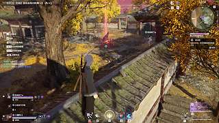 是兄弟就来啃我 11253667