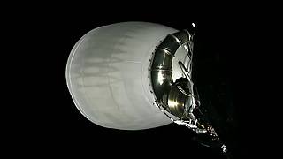 SpaceX/星舰/马斯克