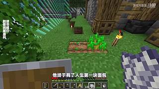 我的世界生存实况解说