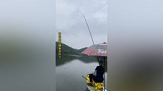 亮gnailux的直播间