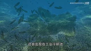 【所长来了】打开宇宙的未知