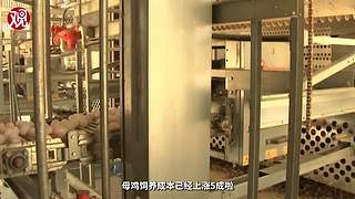 科工力量的直播间