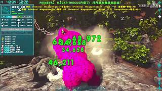 充满沙雕气息的直播间