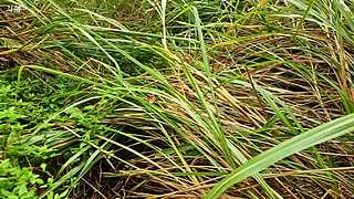 流浪生活.海南隐居十年