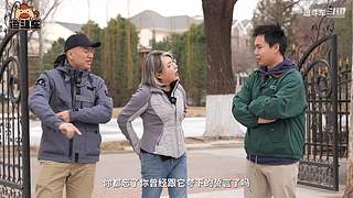 逗斗车的直播间