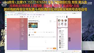 挑号估号斗鸡日常全面配置