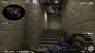 感性主播在线打挂