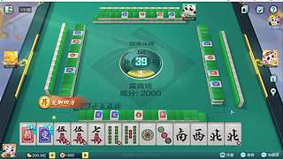 重生之菜鸟逆袭雀神之路