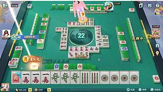 重生之菜鸟逆袭雀神之路