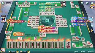 重生之菜鸟逆袭雀神之路