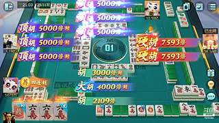 不是输，就是赢，各种号有