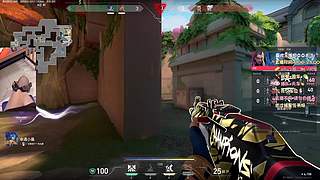 上分上分黑色玫瑰