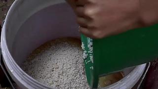 快来听快来看呀