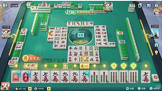 重生之菜鸟逆袭雀神之路